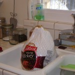 Thanksgiving2009 005