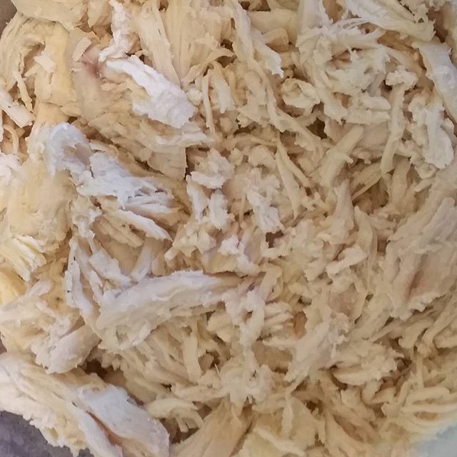 Yep! That's shredded chicken fresh out of Instant Pot and ready for lunch prep!!