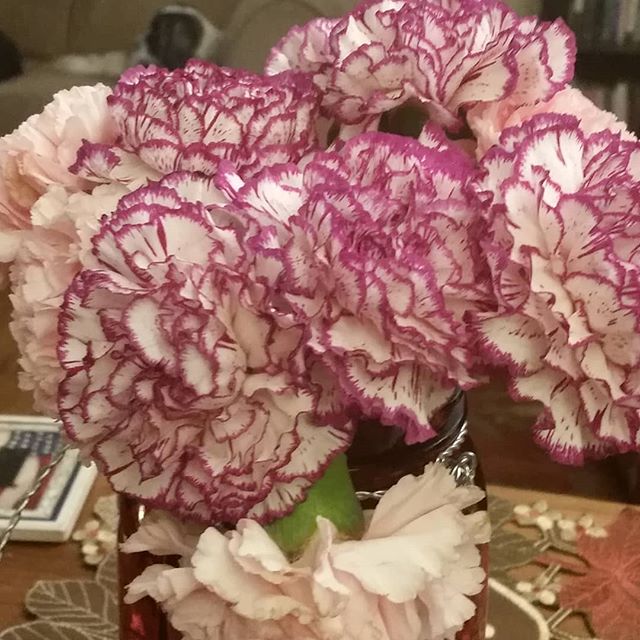 Carnations from my Jeremy! He also brought me dessert for later. What a love!