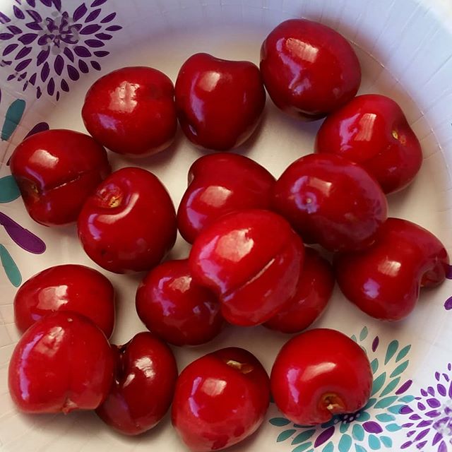 First harvest 2018
