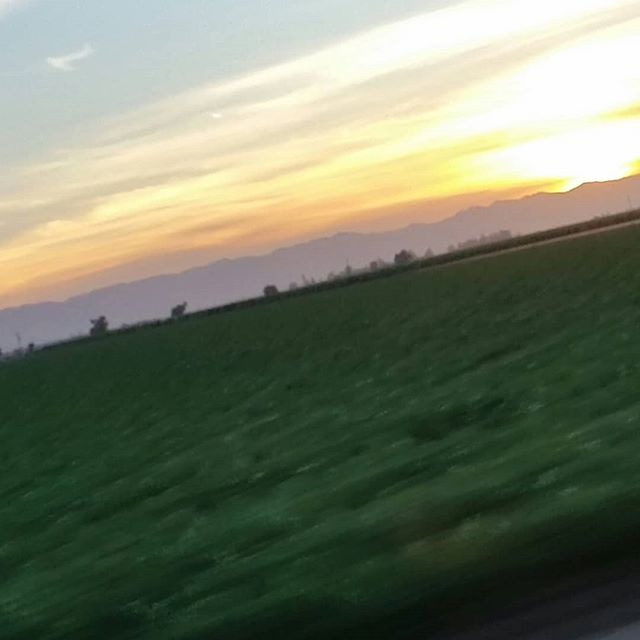 Crooked sunset on drive home. #coastrange #berryessagap