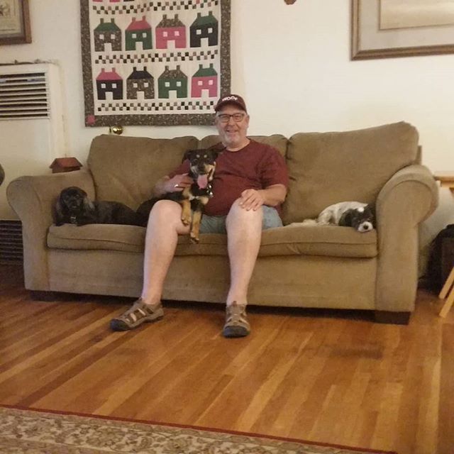 All the dogs love Uncle Steve!