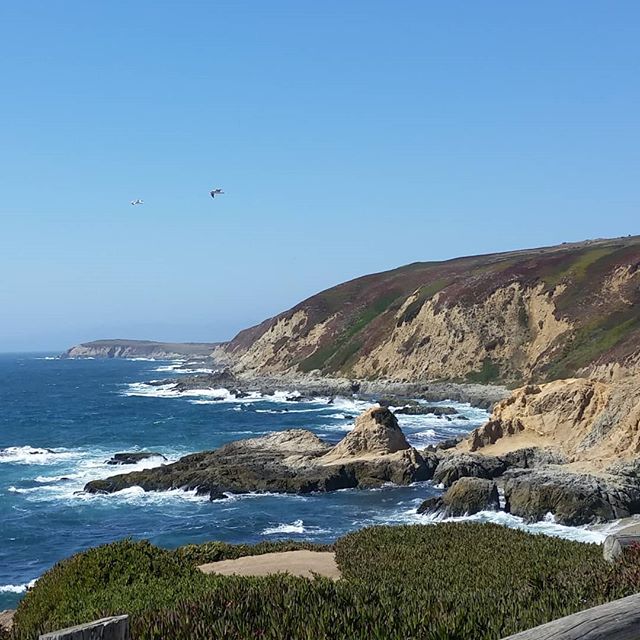 So beautiful today. So cold. Bodega Head, CA.