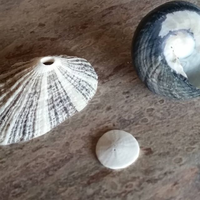 My treasures