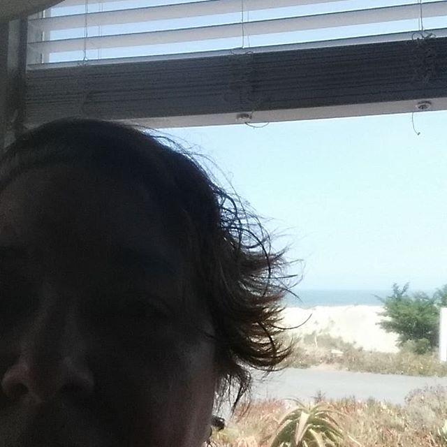 Beach hair. Lol 3.5 miles, 3 sanddollars.