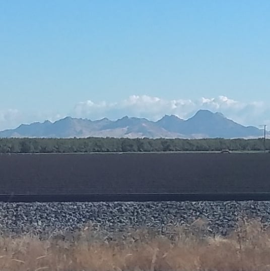 One of my favorite views #sutterbuttes